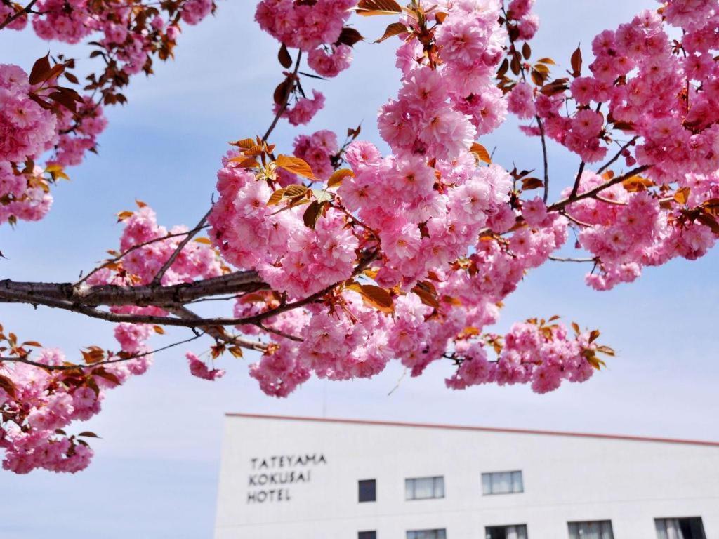 Tateyama Kokusai Hotel Toyama Station Exteriér fotografie